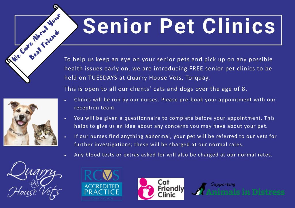 Senior Pet Clinics Quarry House Vets